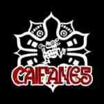 Caifanes & Cafe Tacvba